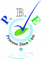 Pbe logoweb